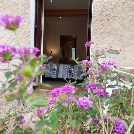 Jolie Plein Pieds Proche Apartamento *