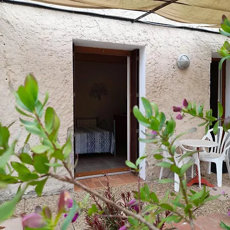 Jolie Plein Pieds Proche 아파트 *